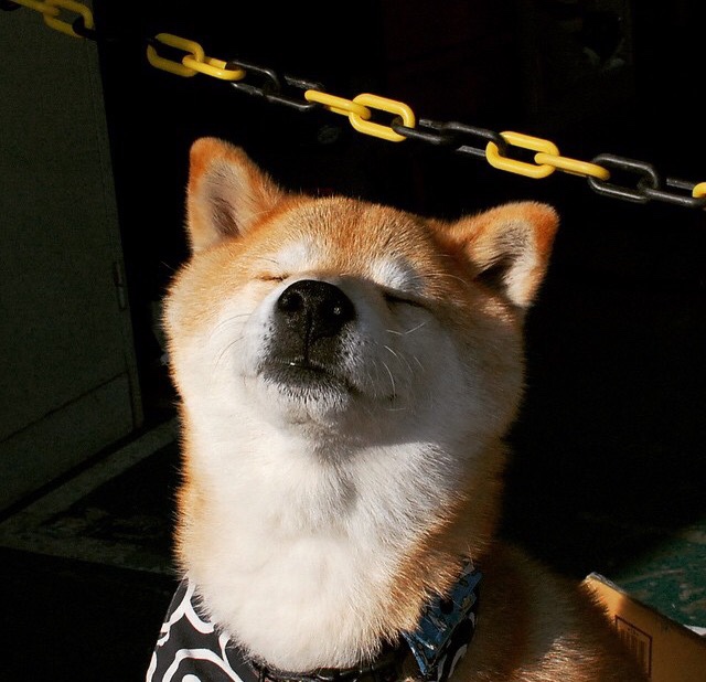 开云体育登录-武切维奇熄灭联合中心喧哗 魔术以提前终结哲学客场降伏公牛