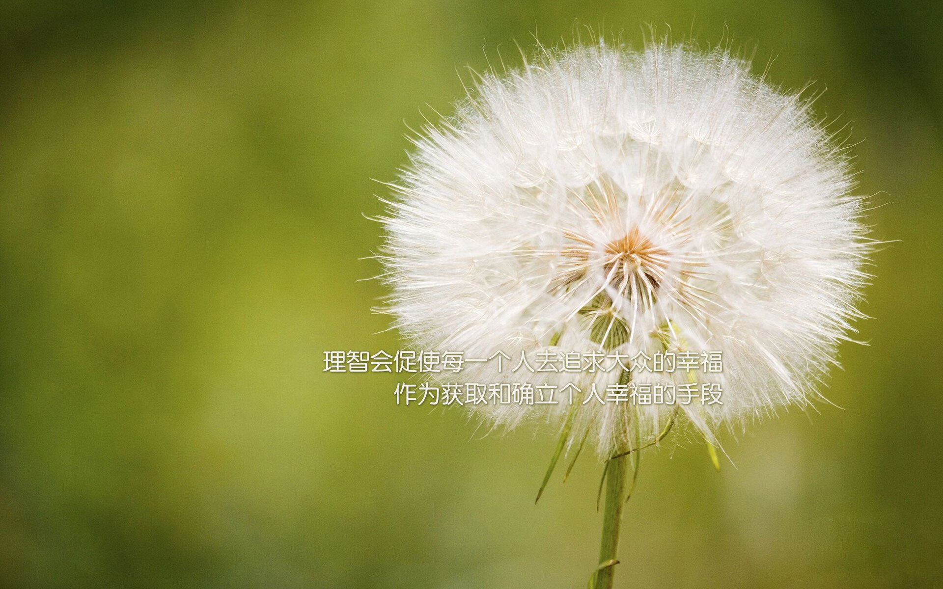 开云sport-当赛道哲学降临绿茵场，委内瑞拉如何用F1式节奏掌控击溃波兰