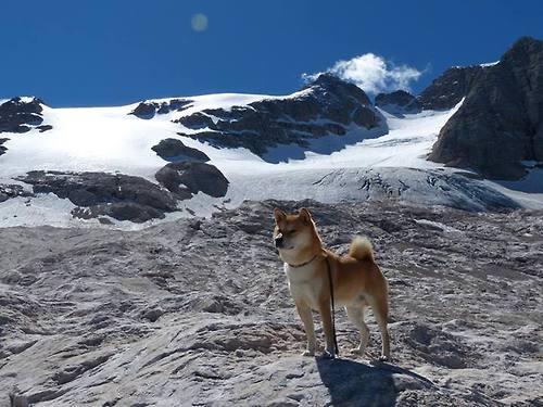 跨界灵感，乌拉圭足球防线启示录，孔德在西决生死战中演绎防守艺术