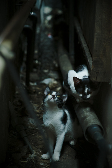 开云体育入口-爱德华兹铸就铁闸，火箭凭窒息防守强势晋级下一轮