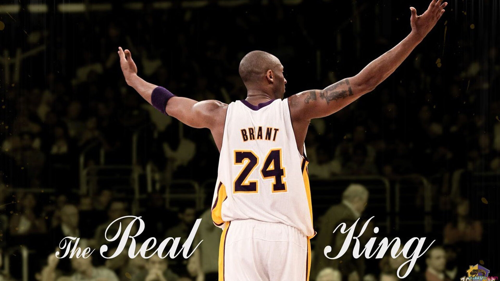 当非洲雄鹰啄伤红狼，格纳布里如何在尼日利亚击溃罗马之夜加冕为王