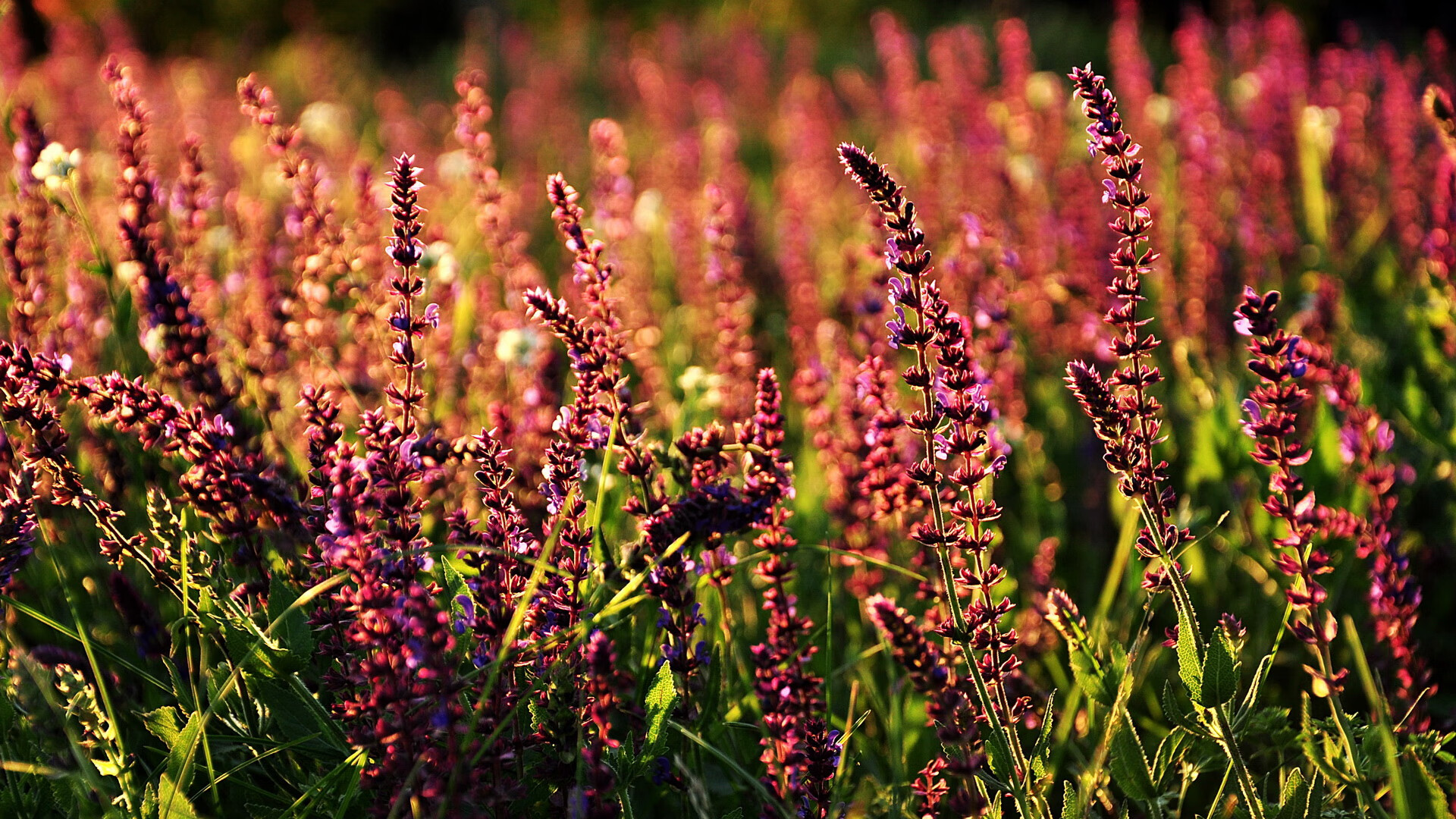 王朝陷落的十分钟，乔治三分终结马刺时代