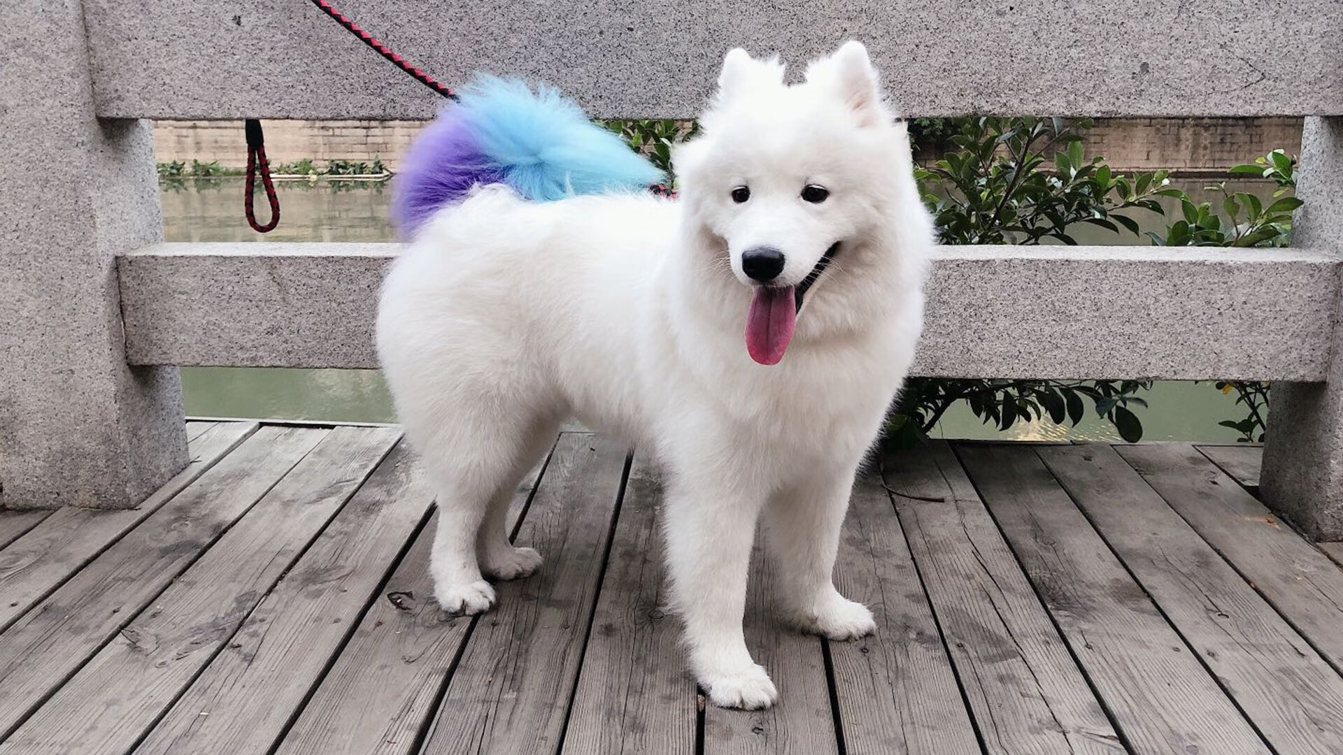 赛道厮杀与球场绞杀，两种极致杀伤的美学