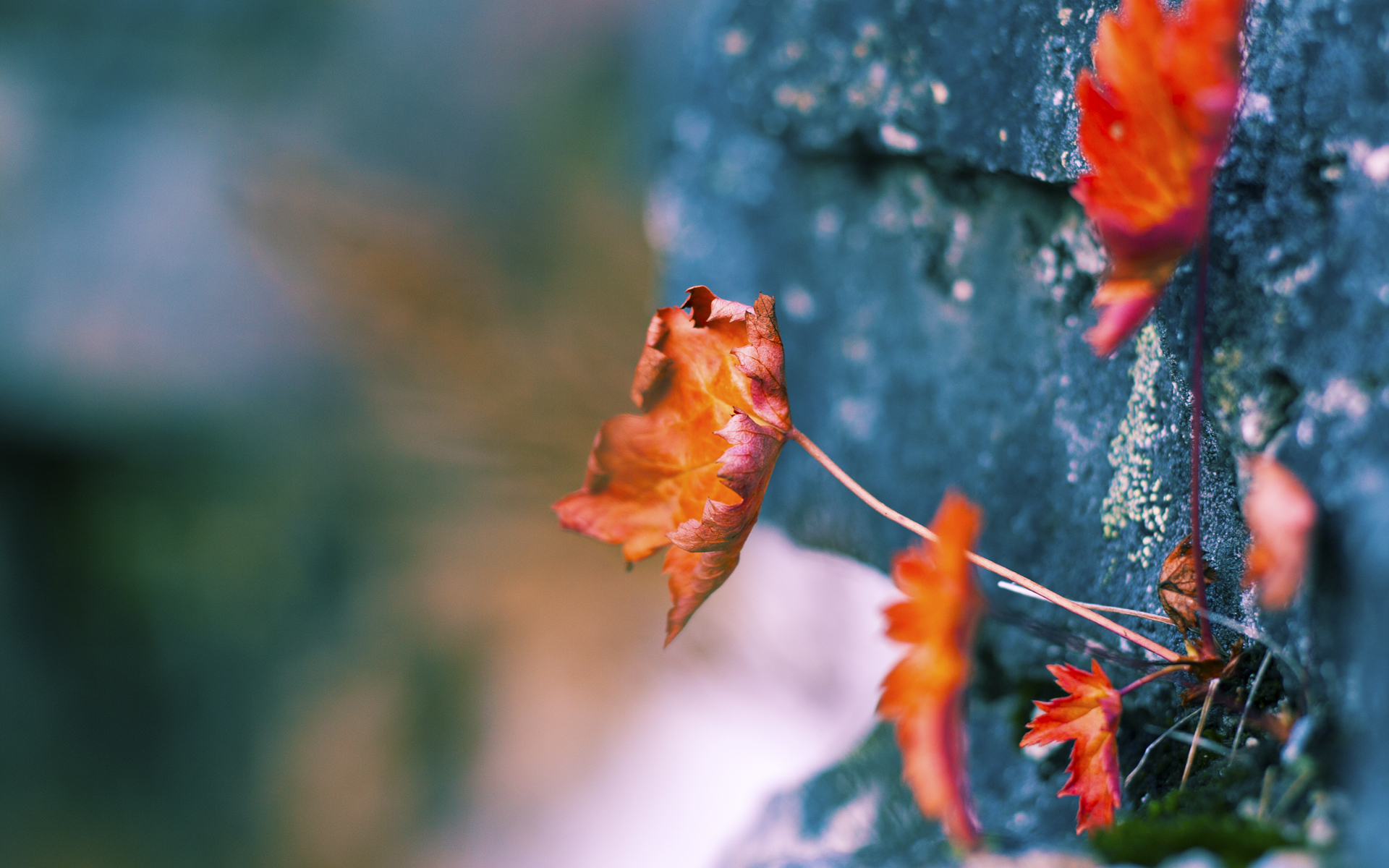 开云体育app-努涅斯，一场虚构战争中的真实轰鸣