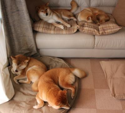 降维打击！皇马外租小将卡马文加在里昂vs沙特友谊赛中演绎非典型狂欢