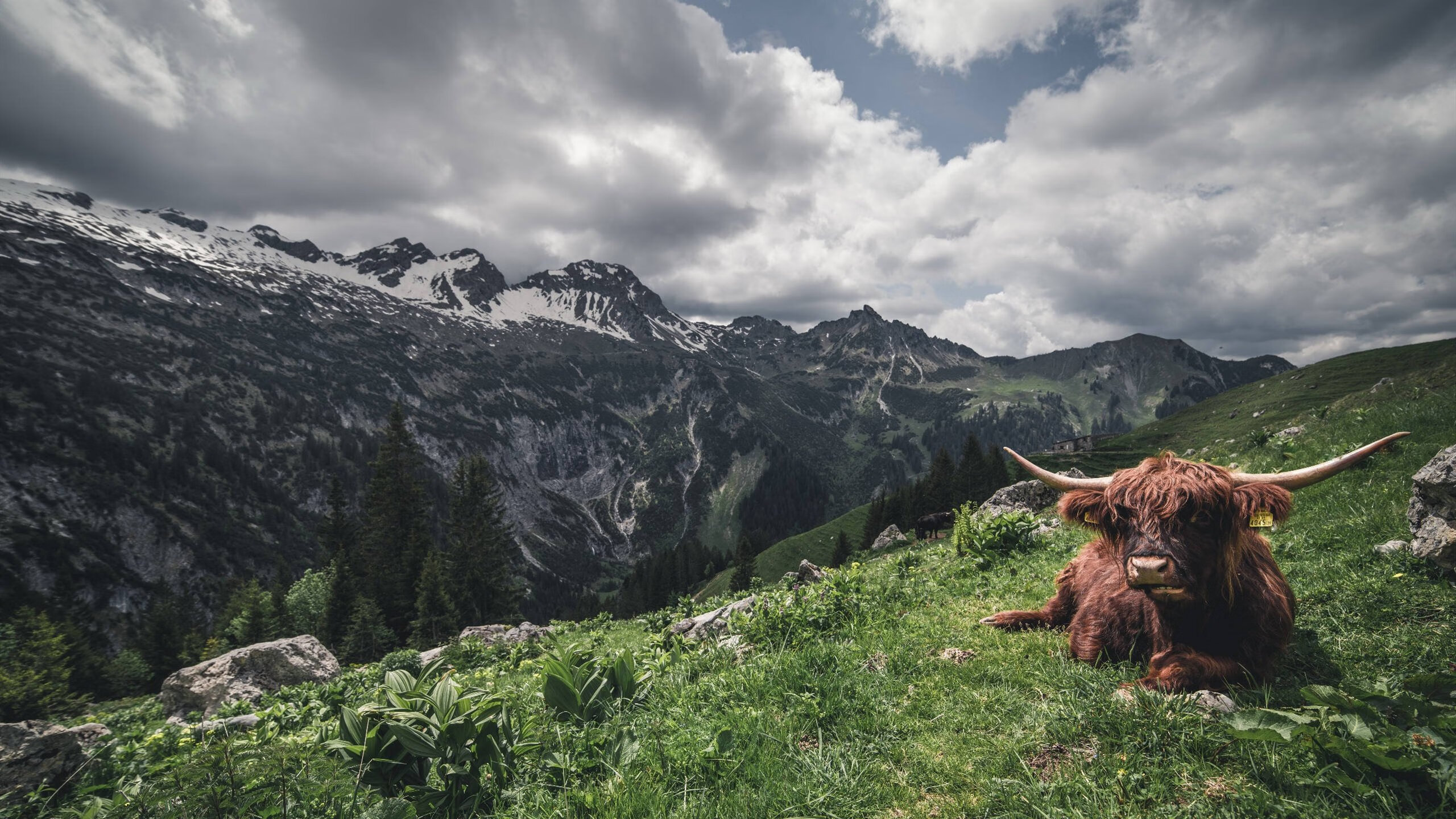 西决生死战之夜，格纳布里在另一个赛场扛起全队
