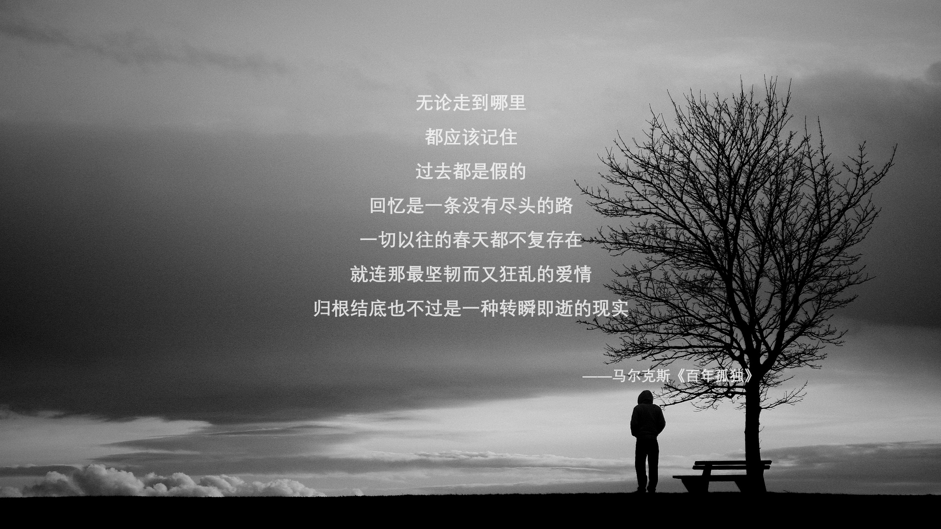 绿茵战争，当奥斯梅恩在美洲杯上掀翻委内瑞拉