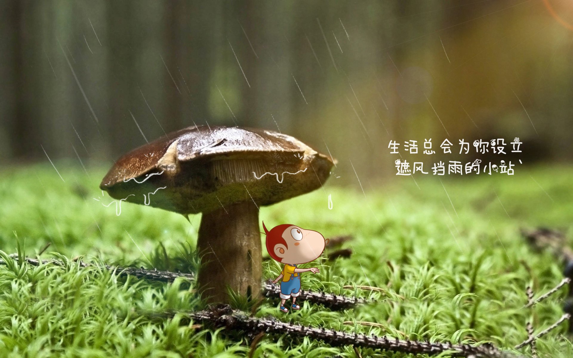 开云体育-王者之夜，蒂亚戈的无声交响与皇家社会压秒刺穿波斯铁壁