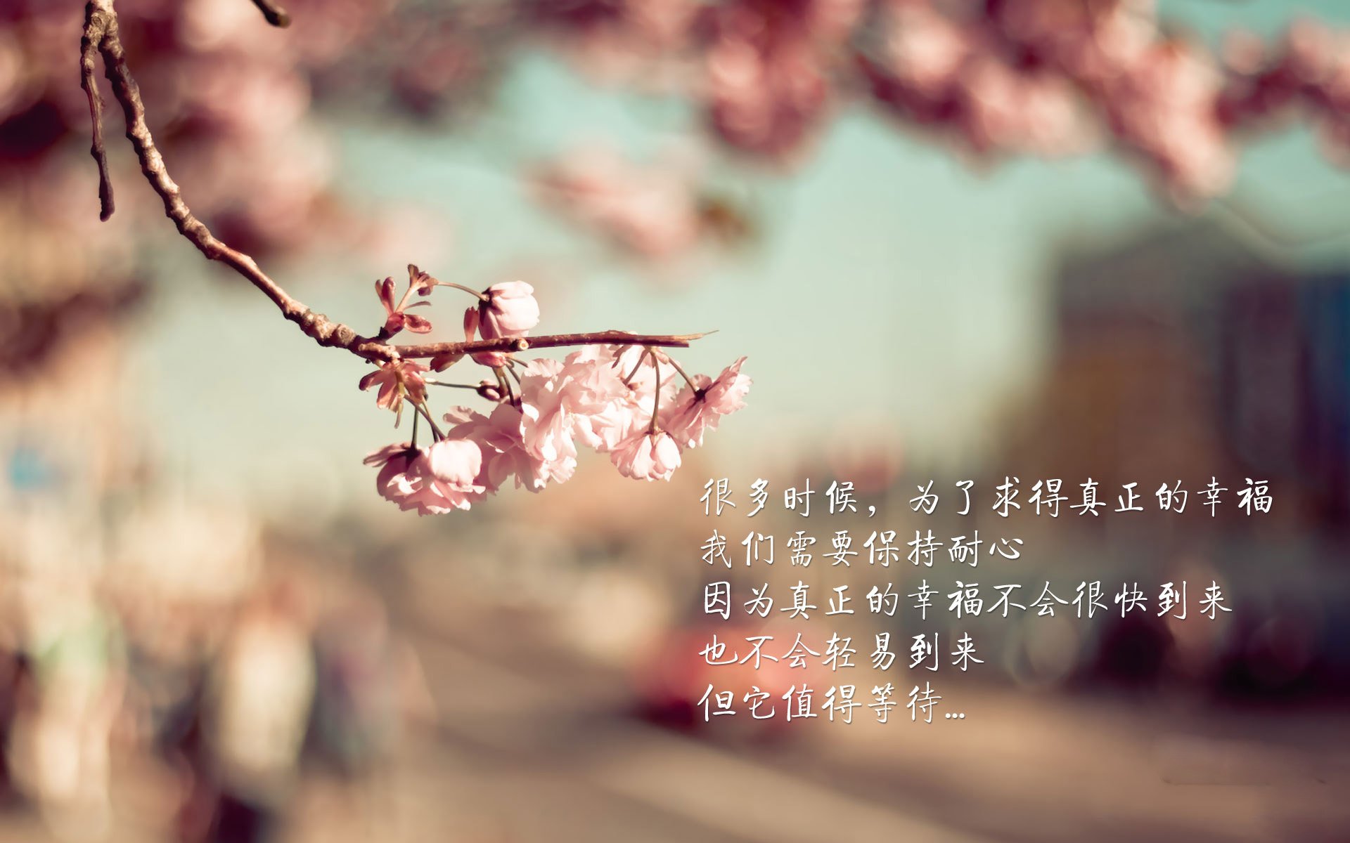 恒河吞噬高卢，当新德里高原的窒息战术让法兰西低头，费利克斯加冕C组国王
